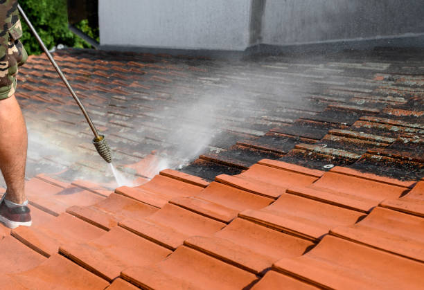 Best Roof Power Washing Services  in Vaiden, MS