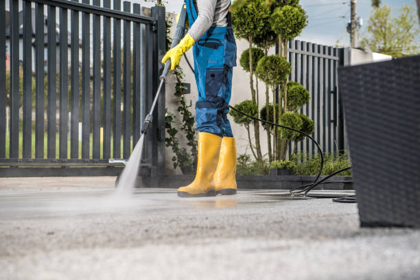 Best Roof Pressure Washing  in Vaiden, MS
