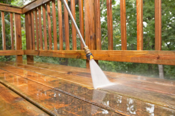 Best Affordable Power Washing  in Vaiden, MS