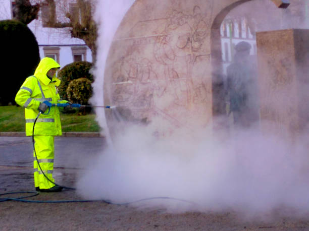 Best Best Pressure Washing Companies  in Vaiden, MS