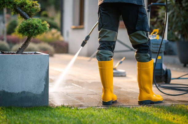 Best Affordable Pressure Washing  in Vaiden, MS